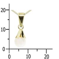 OSTSEE-SCHMUCK Kette mit Anhänger »- Glocke - Gold 333/000 -,« (2-tlg)