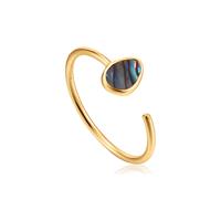 Ania Haie Dames Ring in zilver, goud, voor Dames, 5052469004599, EAN: R027-02G