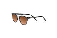 Serengeti Sunglasses 8845 Elyna 54 Shiny Blue Tortoise | Sunglasses