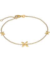 Valeria Armband in geelgoud, goud, voor Dames, 4064721552800, EAN: 08.CA087.A190.01