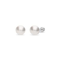 Spark Jewelry Spark Pearl Studs Zilveren Oorknoppen met Witte Parels