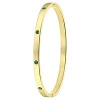 Lucardi Stalen goldplated armband bangle geboortestenen