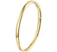 Tft Bangle Scharnier Ovale Buis 5 X 60 mm