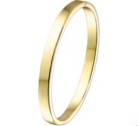 Zilgold Armband Bangle Geelgoud met zilveren kern Vlakke buis 6 x 61 mm