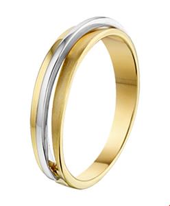 Tft Ring Poli/mat Bicolor Goud