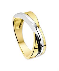 Tft Ring Bicolor Goud