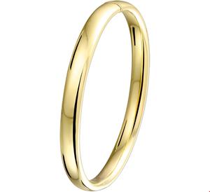 Zilgold Armband  Bangle Geelgoud met zilveren kern 7 mm