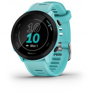 Smartwatch Garmin Forerunner 55 1,04" Blau