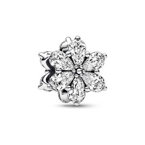 Pandora Charm Timeless 792623C01