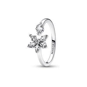 Pandora Damenring Timeless 192611C01-48