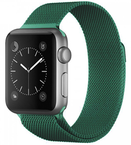 Strap-it Apple Watch SE Milanese band (groen)