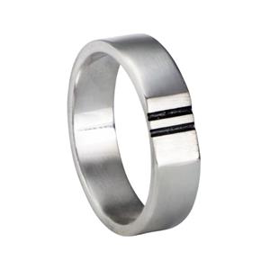 Gedenkartikelen Ring in zilver met 2 strakke lijnen met crematie-as
