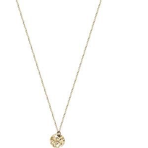 FAVS Collier FAVS Damen-Kette 375er Gelbgold