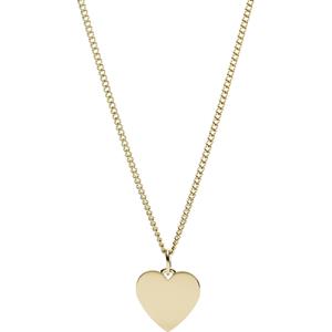 Fossil Ketting Edelstaal
