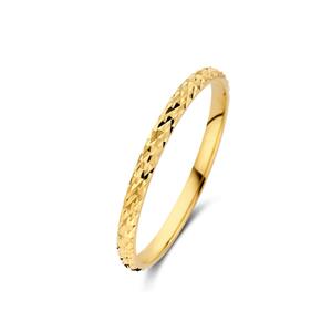 Isabel Bernard Rivoli Dames Ring Goud - Goud - 19.25 mm / maat 60