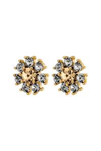 Dyrberg Kern Dyrberg/Kern Aude Earring, Color: Gold/Grey, Onesize, Women