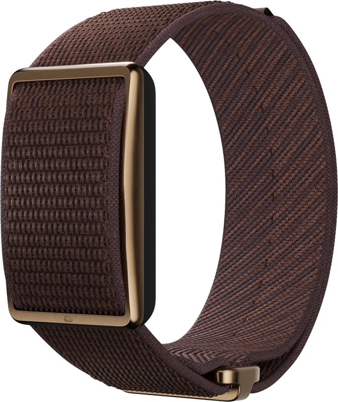 Polar Loop Bruin