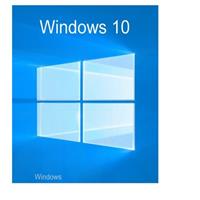 Microsoft Windows 10 Home, Betriebssystem-Software
