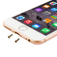 huismerk 100 stuks voor iPhone 6s & 6s Plus universele opladen poort Screws(Gold)