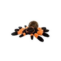 Wild Republic Halloween - Pluche Tarantula spin 30 cm Multi