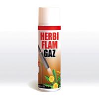 bsi Herbigaz gasfles 600 ml