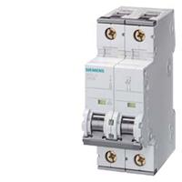 SIEMENS 5SY4508-7 - Miniature circuit breaker 2-p C8A 5SY4508-7