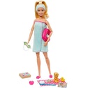 Barbie Wellness Spa Doll and Accessories