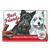 Fiftiesstore Metalen Postkaart Best Friends Because We Share Everything