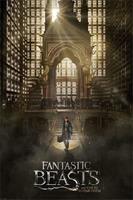 Expo XL Fantastic Beasts And Where To Find Them Teaser - Maxi Poster (C-785)