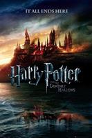 Expo XL Harry Potter 7 Teaser - Maxi Poster (B-725)