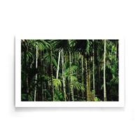 Walljar | Poster Bamboo