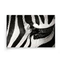 Walljar | Poster Zebra Up Close