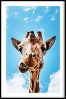 Walljar | Ingelijste poster Crazy Giraffe