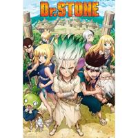 Abystyle Dr Stone Groupe Poster 61x91,5cm
