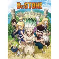 Abystyle Dr Stone Group Poster 38x52cm