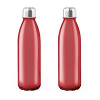 Bellatio 2x Stuks glazen waterfles/drinkfles rood transparant met Rvs dop 500 ml -
