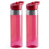 2x Rode drinkfles/waterfles RVS 650 ml -