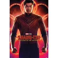 Pyramid Shang-chi And The Legend Of The Ten Rings Flex Poster 61x91,5cm