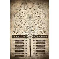 Grupo Erik Harry Potter Spells And Charms Poster 61x91,5cm