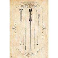 Merkloos Grupo Erik Harry Potter The Wand Poster 61x91,5cm