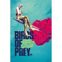 Grupo Erik Birds Of Prey Broken Heart Poster 61x91,5cm