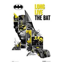 Merkloos Grupo Erik Dc Comics 80 Anniversary Batman Poster 61x91,5cm