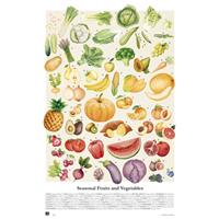 Grupo Erik Vegetales Y Frutas De Temporada Poster 61x91,5cm