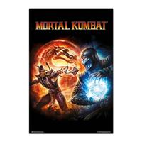 Merkloos Grupo Erik Mortal Kombat 9 Videogame Poster 61x91,5cm
