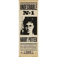 Grupo Erik Harry Potter Undesirable Nr 1 Poster 53x158cm