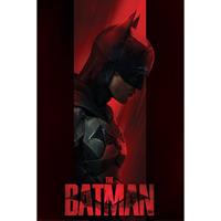 Pyramid The Batman Out Of The Shadows Poster 61x91,5cm