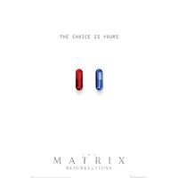 Pyramid The Matrix Resurrections The Choice Is Yours Poster 61x91,5cm