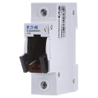 Eaton Z-SLS/NEOZ/1 - Neozed switch disconnector 1xD02 63A Z-SLS/NEOZ/1