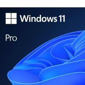 Microsoft Windows 11 Pro 64-Bit SBV Deutsch