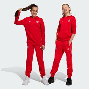 Adidas FC Bayern München Broek Kids